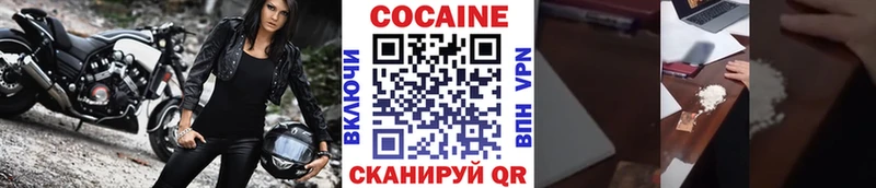 купить закладку  Зарайск  COCAIN Fish Scale 