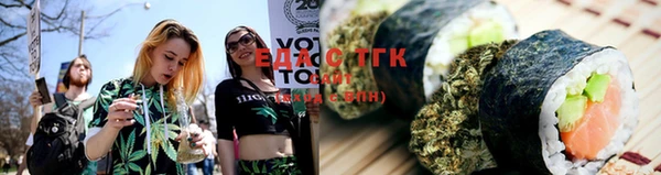 индика Волосово
