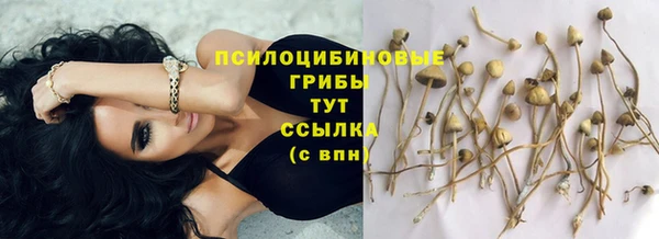 крисы Вязники