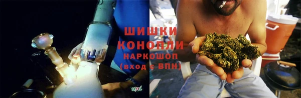 прущая мука Вяземский