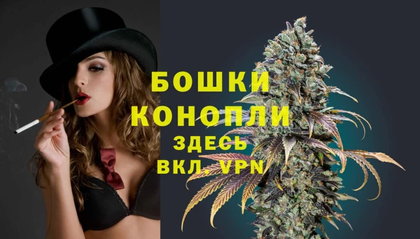 прущая мука Вяземский