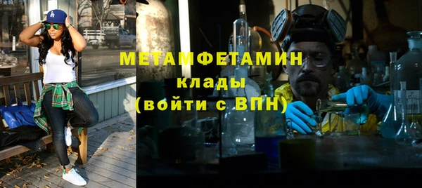 индика Волосово