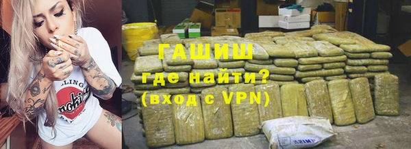 индика Волосово