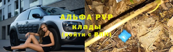индика Волосово
