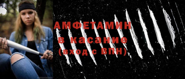 индика Волосово