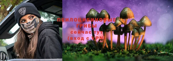 дурь Рославль