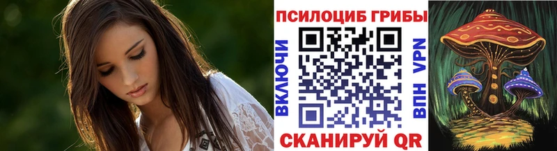 хочу   Зарайск  Псилоцибиновые грибы мицелий 